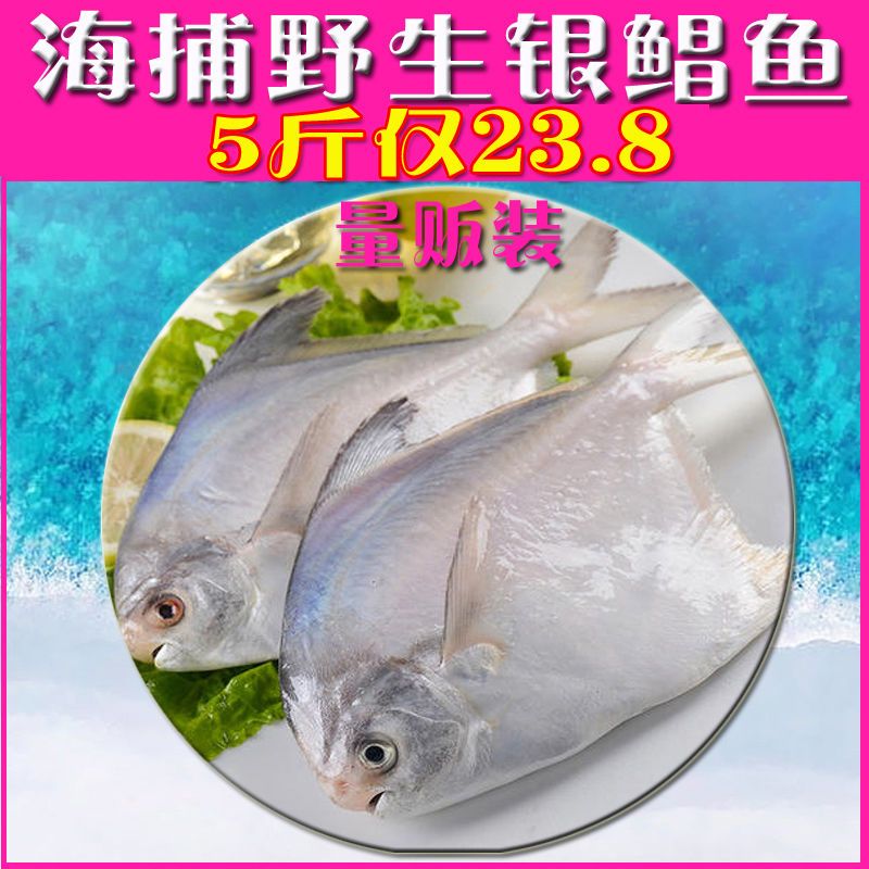 新鲜急冻】鲳鱼新鲜舟山白鲳鲳鳊鱼银鲳鱼平鱼家庭常备海鲜水产_虎窝拼