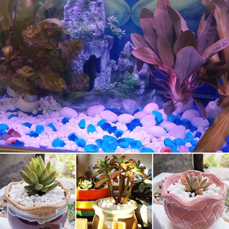 小白石子花盆装饰小石头多肉植物园艺盆栽铺面鱼缸布景白色石头子 虎窝拼