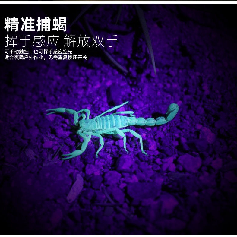 照蝎子灯捕蝎灯紫光头灯LED强光可充电逮蝎子专用头戴式超亮远射
