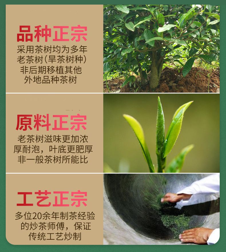 茶叶买一斤送半斤2020新茶信阳毛尖手工绿茶叶浓香型大茶叶多规格