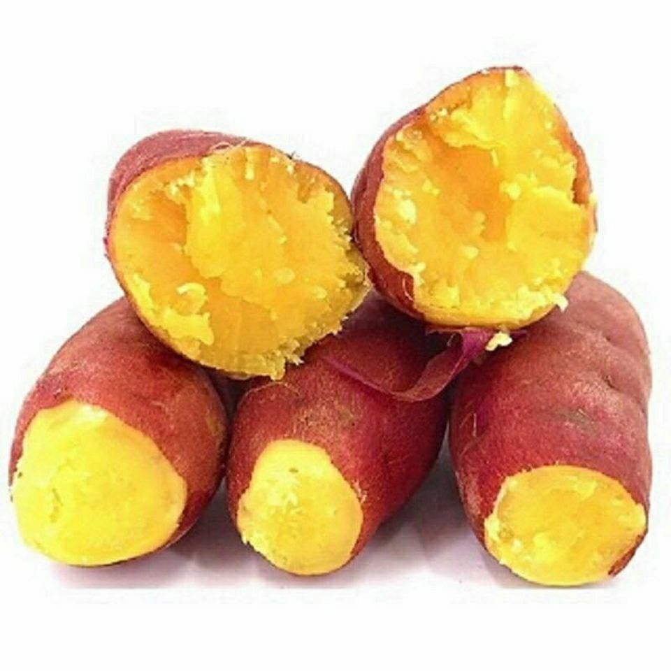 新鲜地瓜红薯黄心番薯沙地蜜薯5斤/10斤/3斤装软糯香甜产地直发