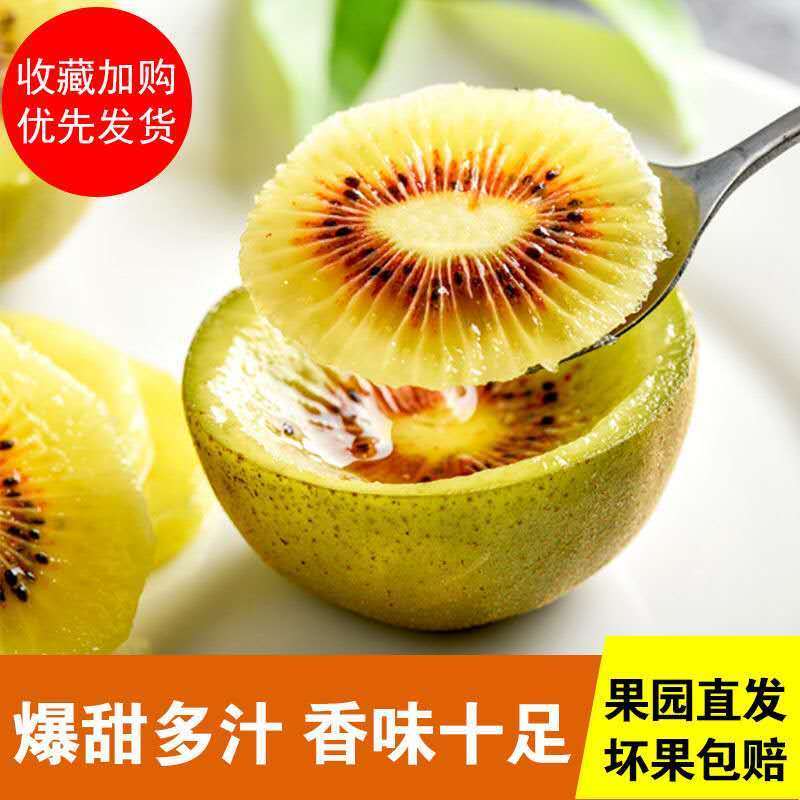 54220-【现摘现发】四川红心猕猴桃奇异果新鲜水果整箱包邮15-30粒装-详情图