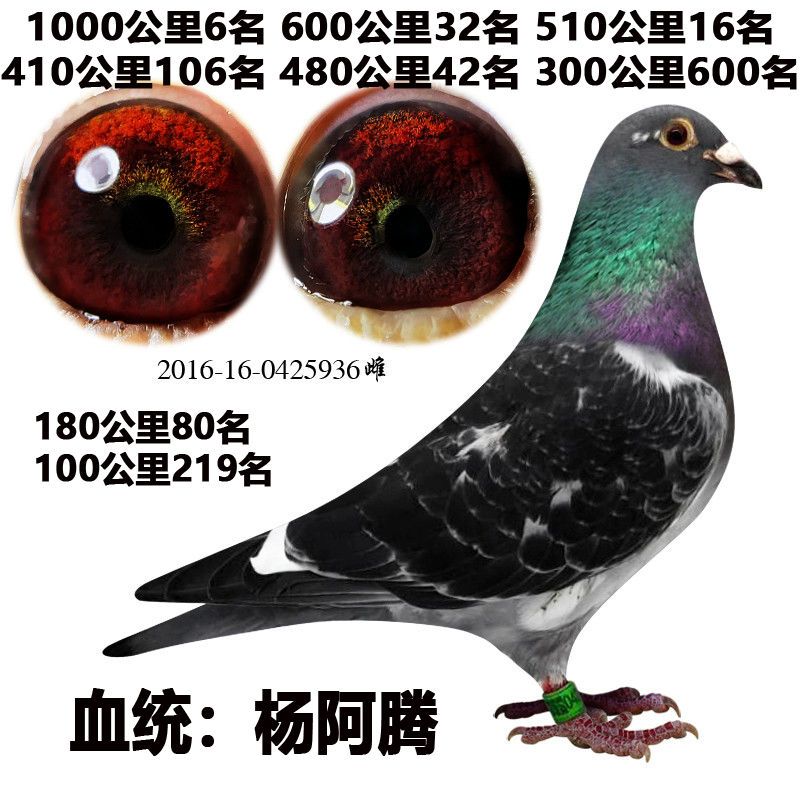5861c15d-c4d6-4e8d-9362-083a9e041b74.jpg.a.jpeg