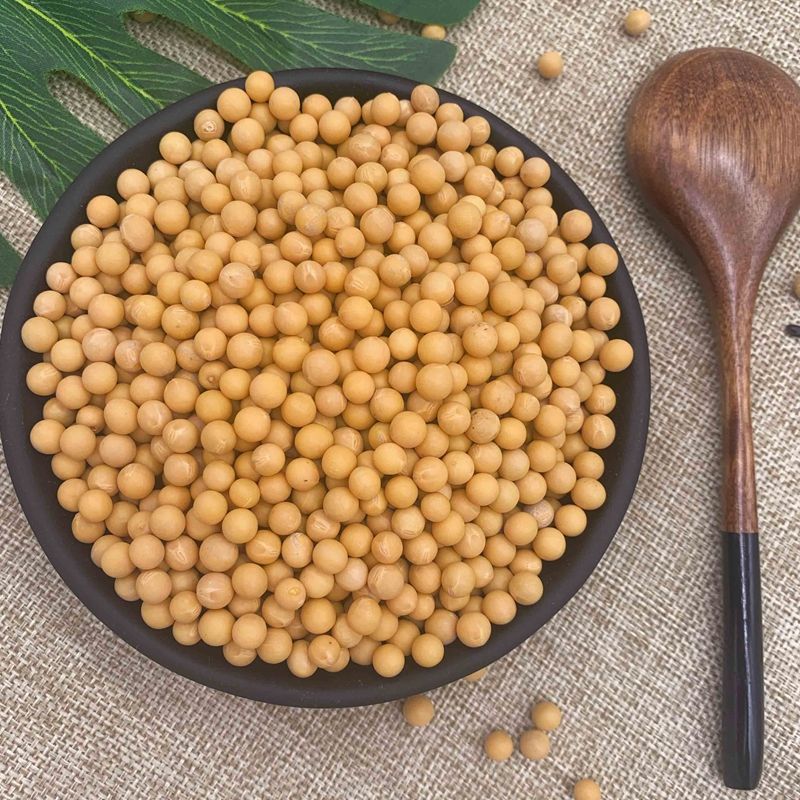 东北纯正小粒黄豆690发豆芽纳豆打豆浆专用非转基因新大豆2/5斤装【2