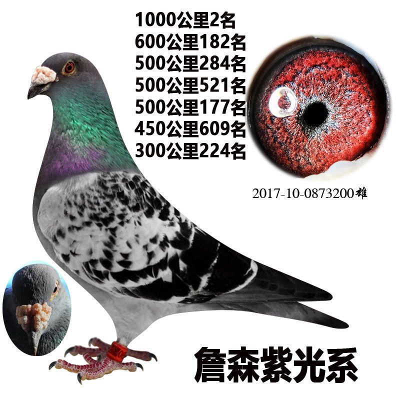 a74aa136-d635-4387-a044-2709e2cc2bd6.jpg.a.jpeg