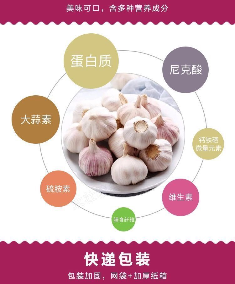 同款大蒜头调味品 993ecf08-7279-47c0-9c84-1e344f2d427d.jpg.a.jpeg