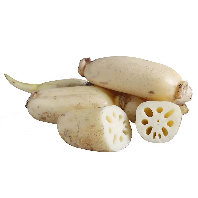 【现挖现发】湖北莲藕新鲜脆藕煲汤粉藕菜藕嫩藕尖正宗无漂白莲藕