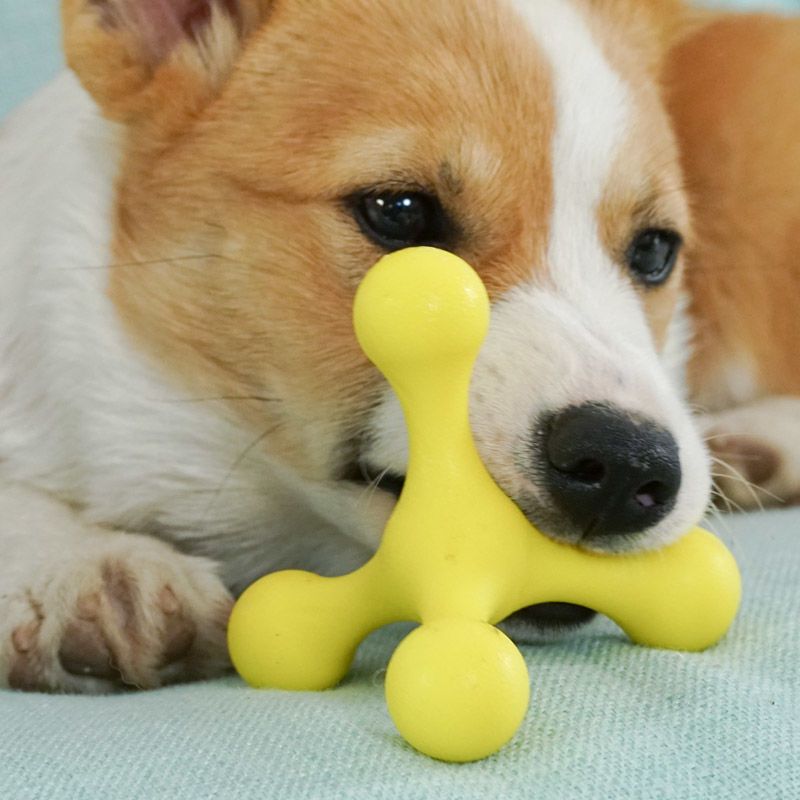 狗狗玩具耐咬幼犬解闷神器磨牙棒比熊柯基泰迪小型犬小狗宠物用品