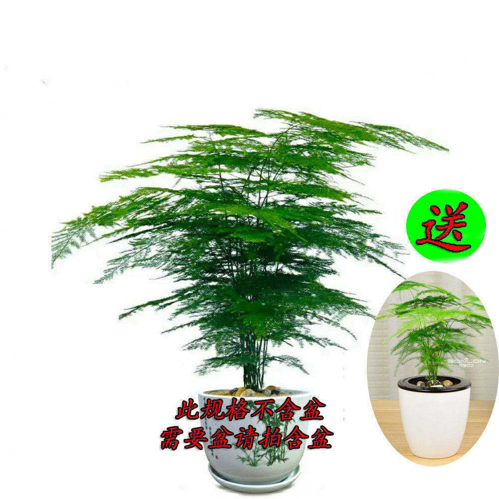 557ec35b-ed81-4bc3-bd52-9ce9b66ba6b5.jpg.a.jpeg