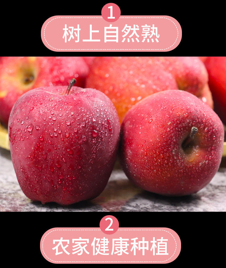 天水花牛苹果10斤甘肃应季新鲜水果红蛇果粉面2斤5斤整箱包邮批发