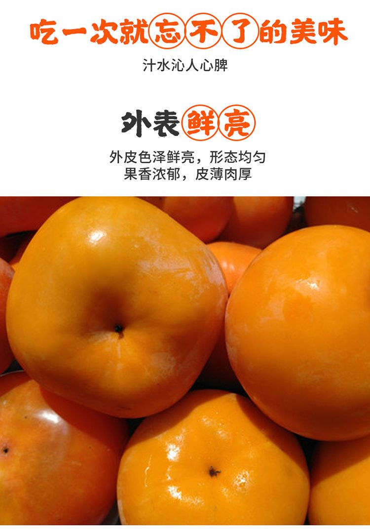 陕西阳丰脆柿子新鲜水果硬柿子脆甜可口甜柿子整箱