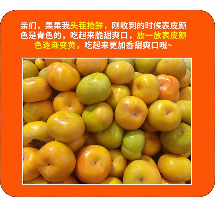 陕西阳丰脆柿子新鲜水果硬柿子脆甜可口甜柿子整箱