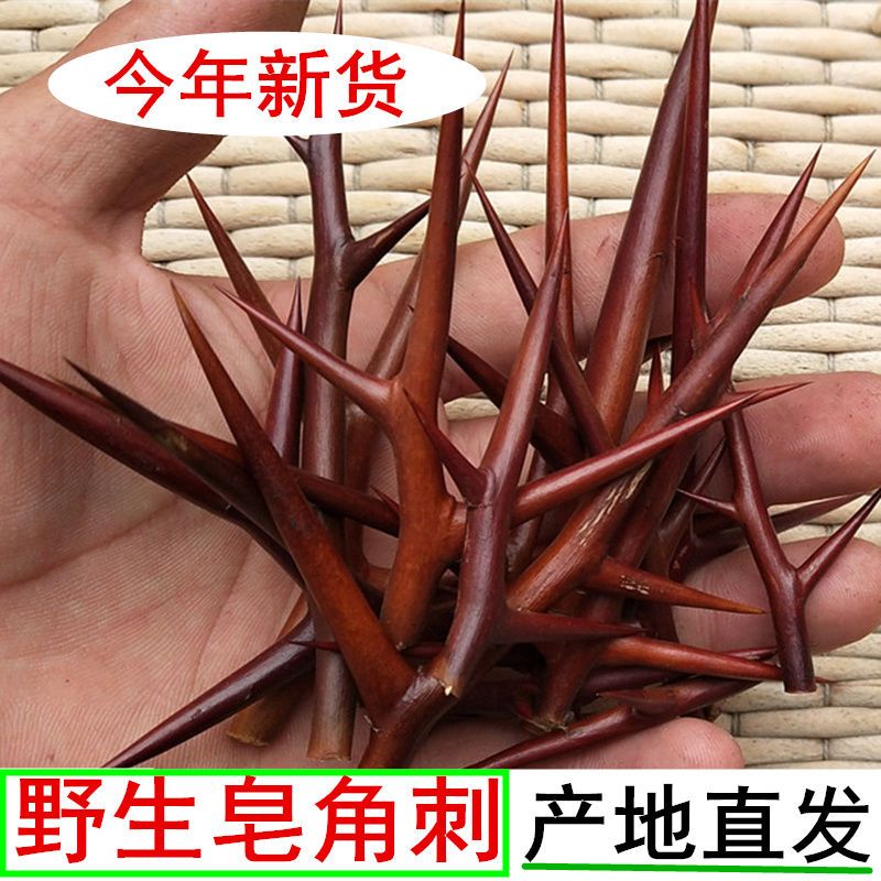 皂角刺500克包邮 皂刺新鲜野生中药材个大刺免费磨皂刺粉