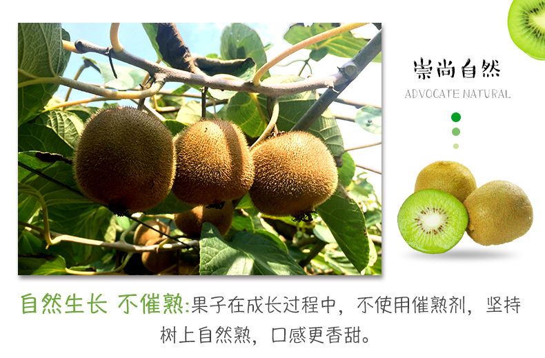 【限时特惠】新鲜绿心猕猴桃奇异果水果弥猴桃应季孕妇水果批发1-10斤
