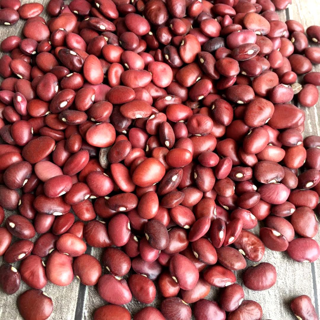 精选小扁红豆5斤红腰豆扁红芸豆250克新红扁豆小扁豆红豆豆类散装