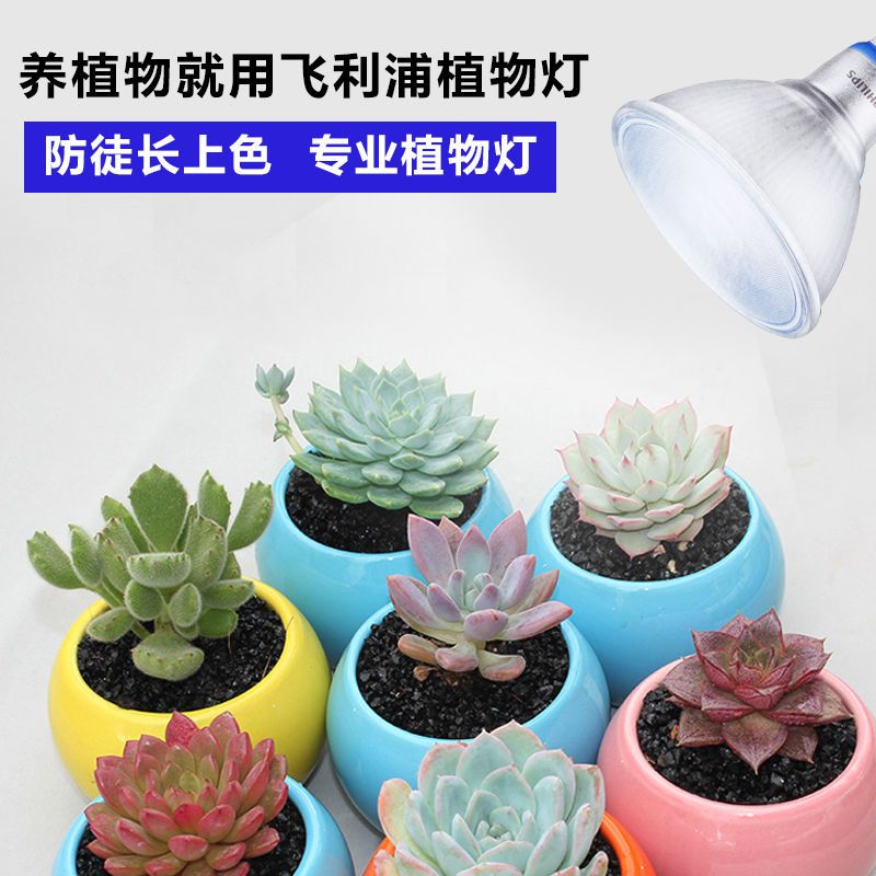 飞利浦多肉补光灯家用上色全光谱led仿太阳光合作用灯植物生长灯 虎窝拼