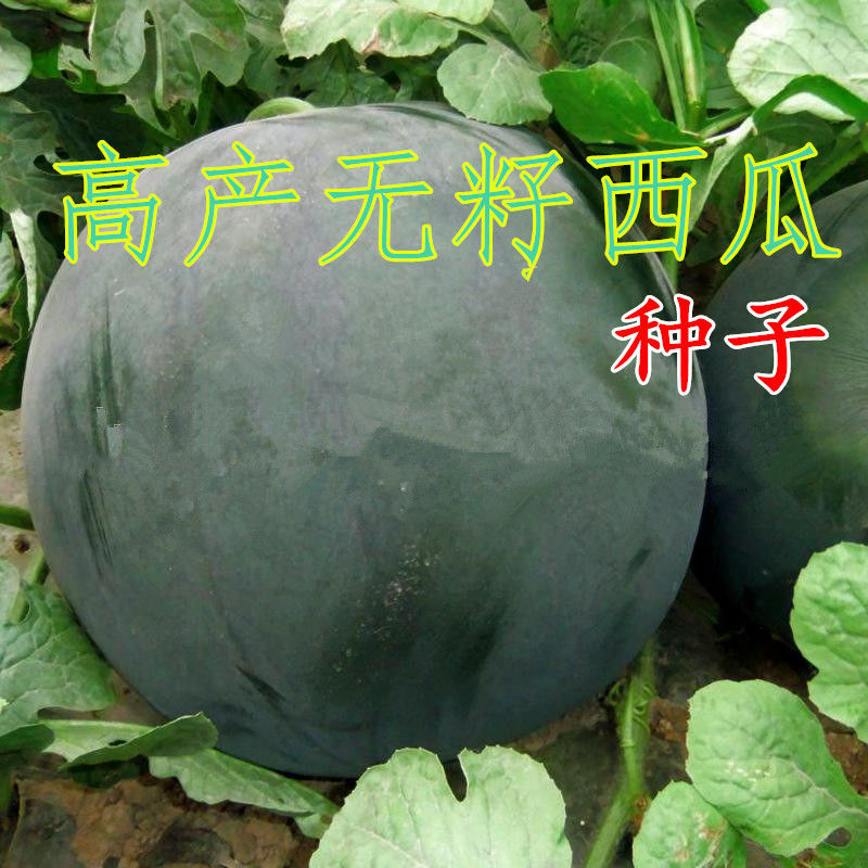 38be5dda-0a2a-458a-bd0d-724d7f914267.jpeg.a.jpeg