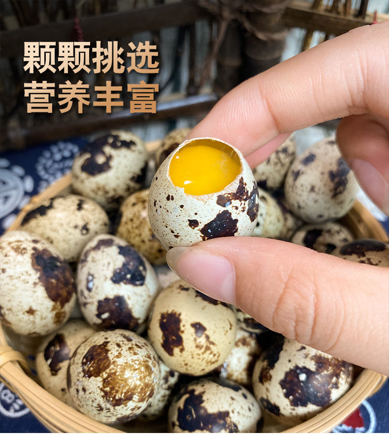 现捡新鲜特大鹌鹑蛋农村农家正宗杂粮散养生的鸟蛋批发零食用鸡蛋