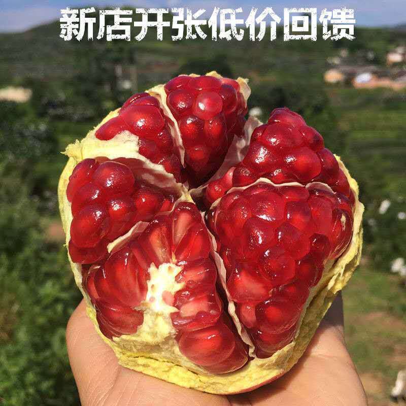 75817-【高档礼盒】精品一级正宗突尼斯软籽大石榴无籽新鲜水果送礼包邮-详情图