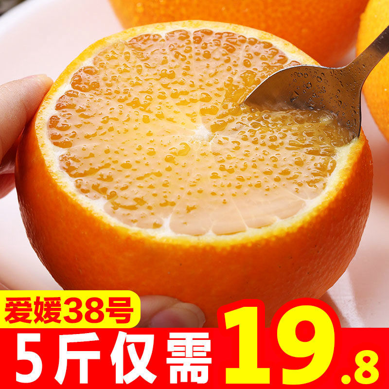 88797-四川爱媛38号果冻橙8斤当季新鲜水果手剥橙子柑橘桔子5斤-2斤批发-详情图