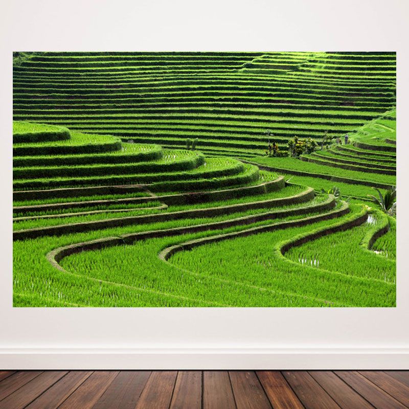 梯田自然风景装饰画 农家山庄餐厅走廊壁画 旅社房间客房挂画b171