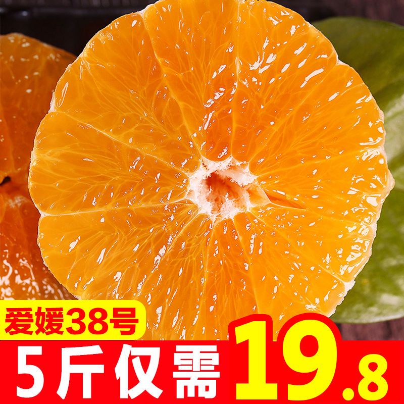 88797-四川爱媛38号果冻橙8斤当季新鲜水果手剥橙子柑橘桔子5斤-2斤批发-详情图