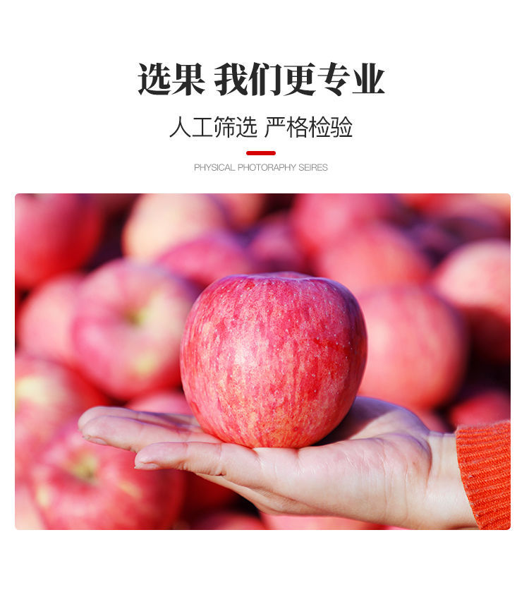 现摘陕西红富士苹果当季新鲜水果10斤脆甜冰糖心丑苹果整箱3/5斤【12月31日发完】