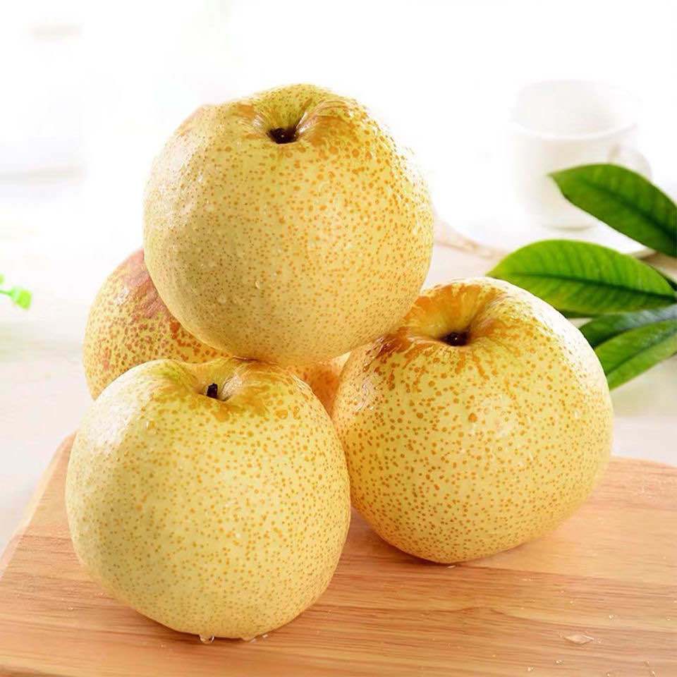 砀山酥梨果园现摘现发新鲜梨子脆甜多汁当季水果整箱3/5/10斤包邮