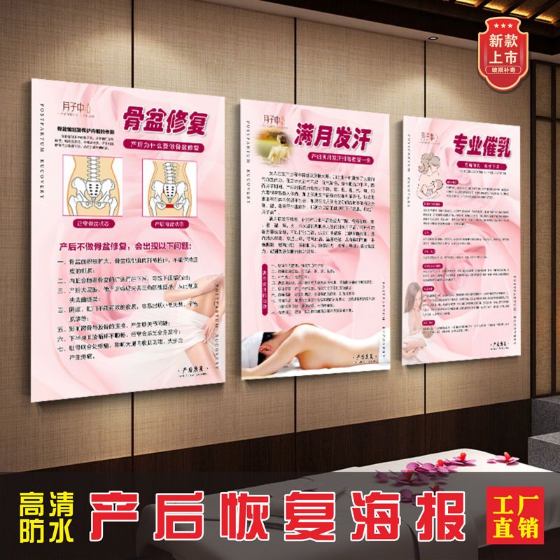 产后康复海报美容恢复宣传满月发汗挂图骨盆修复盆底肌催乳kt板画