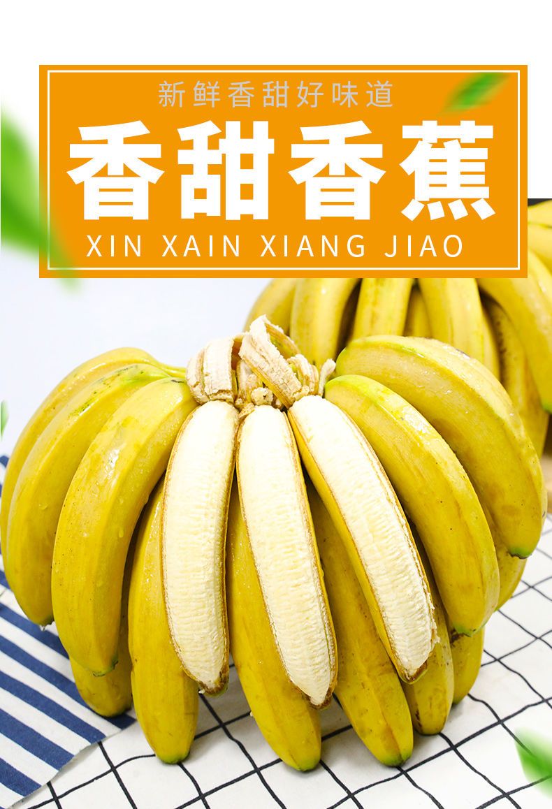 【十斤装】云南香蕉整箱自然熟当季水果新鲜非广西小米蕉包邮【神农良品】