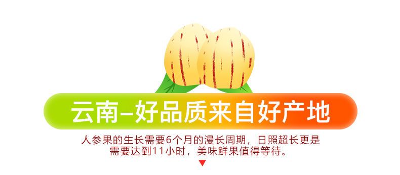 【特惠价】云南石林人生果圆果5斤大果单果(100-150g)水果