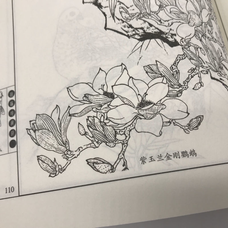 花鳥魚蟲白描畫譜雕刻圖案入門花卉圖譜國畫花鳥畫冊線描白描書