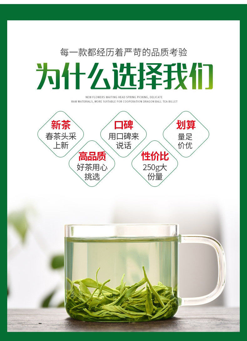 大份量罐装绿茶2023年新茶高山云雾日照雨前浓香耐泡炒青松阳香茶
