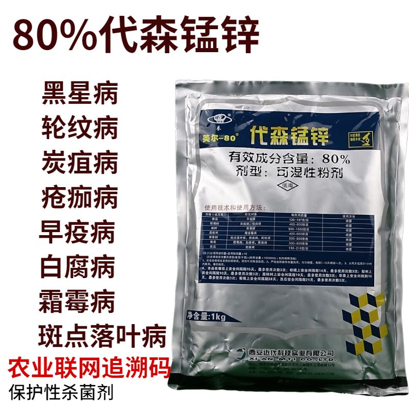 0203ea92-dcfe-4d9b-9c74-616b8d526420.jpeg