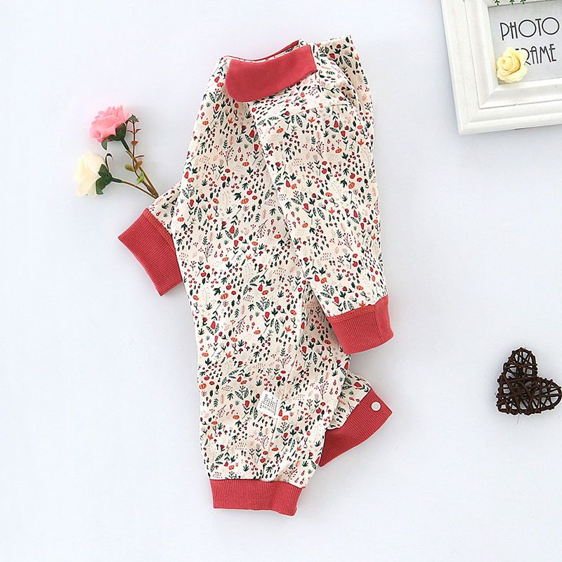 Baby going out jumpsuit pure cotton spring and autumn thin newborn baby princess romper summer long-sleeved baby girl crawling clothes