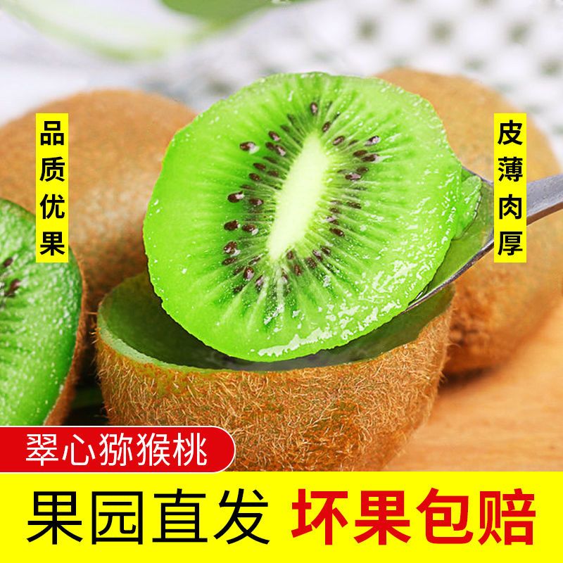 54279-陕西眉县新鲜当季绿心秦美猕猴桃水果果园适宜孕妇儿童高营养水果-详情图