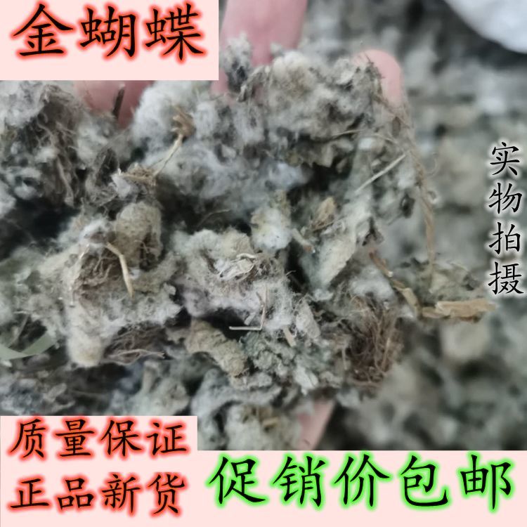 金蝴蝶中药材 锦地罗 文钱红 金线吊芙蓉 落地金钱 250克新鲜干货