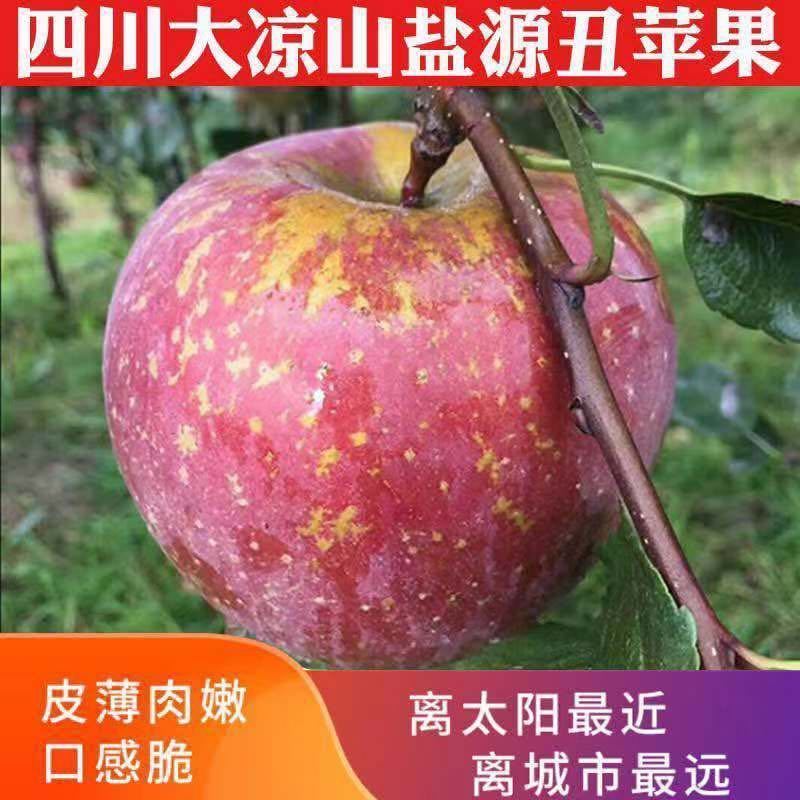 【现发】【冰糖心丑苹果】新鲜水果当季红富士摘整箱10/5/2斤可选
