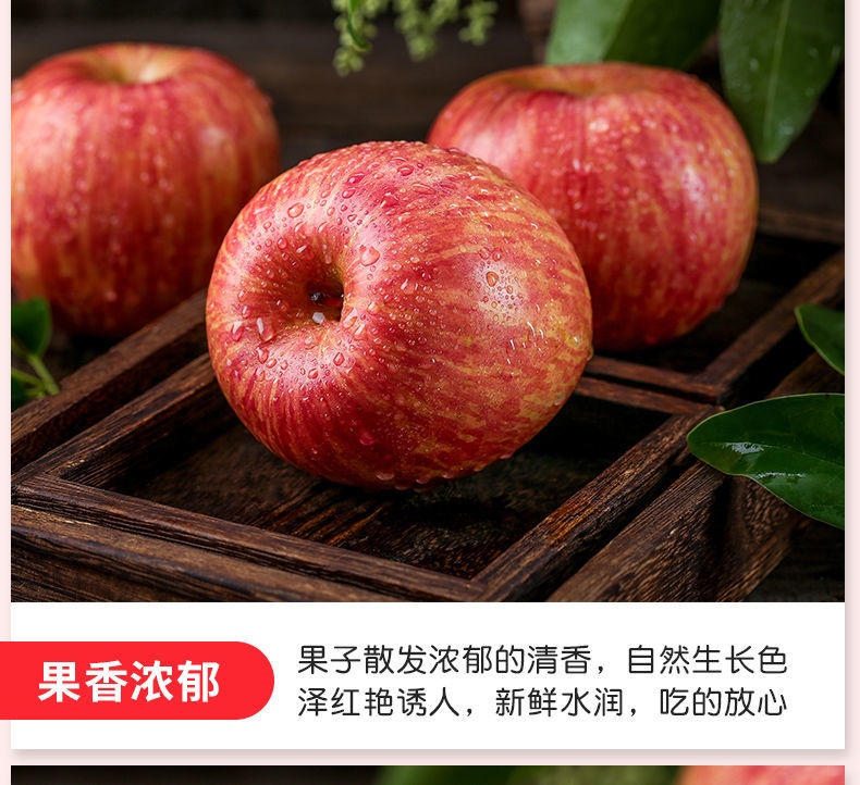 【脆甜多汁】正宗山东烟台栖霞红富士苹果当季新鲜水果3斤5斤10斤