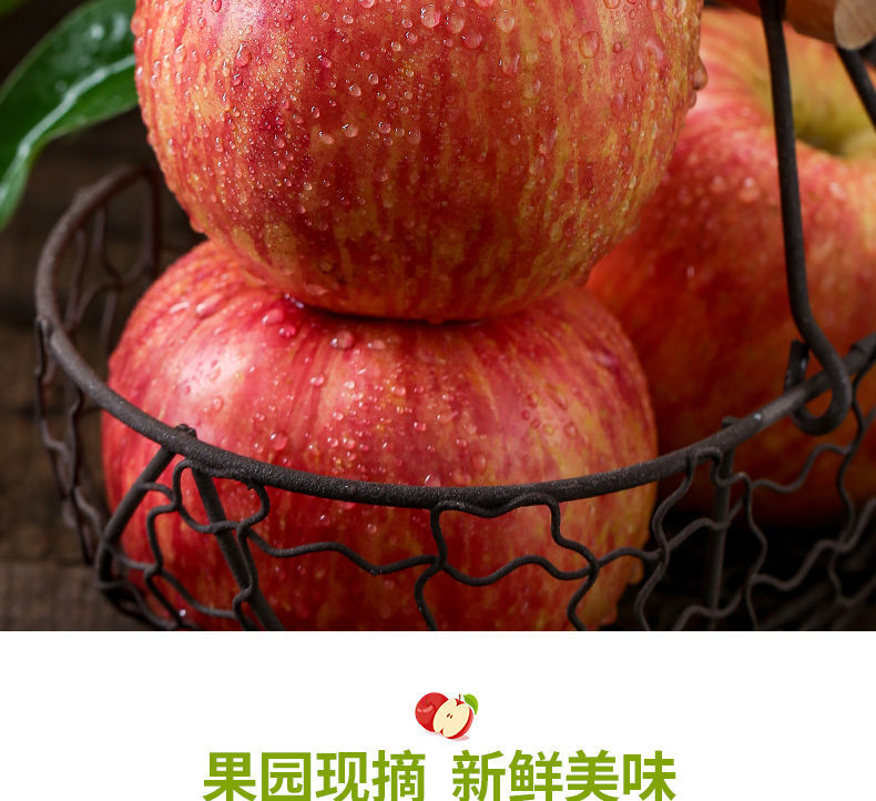 泰初源 【脆甜多汁】正宗山东烟台栖霞红富士苹果当季新鲜水果3斤5斤10斤