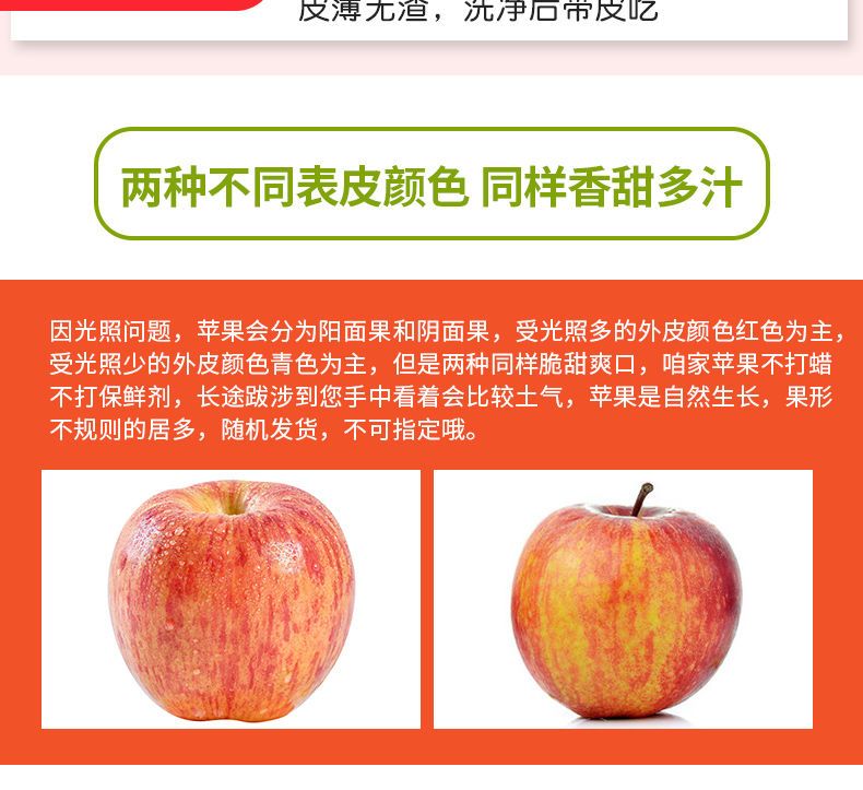 【脆甜多汁】正宗山东烟台栖霞红富士苹果当季新鲜水果3斤5斤10斤