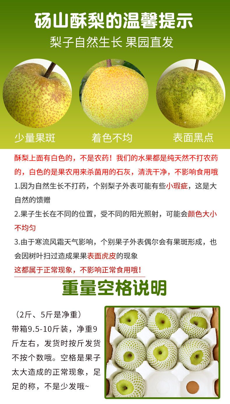 【新鲜现摘】砀山酥梨10/5/2斤新鲜孕妇水果早酥青梨坏果包赔包邮