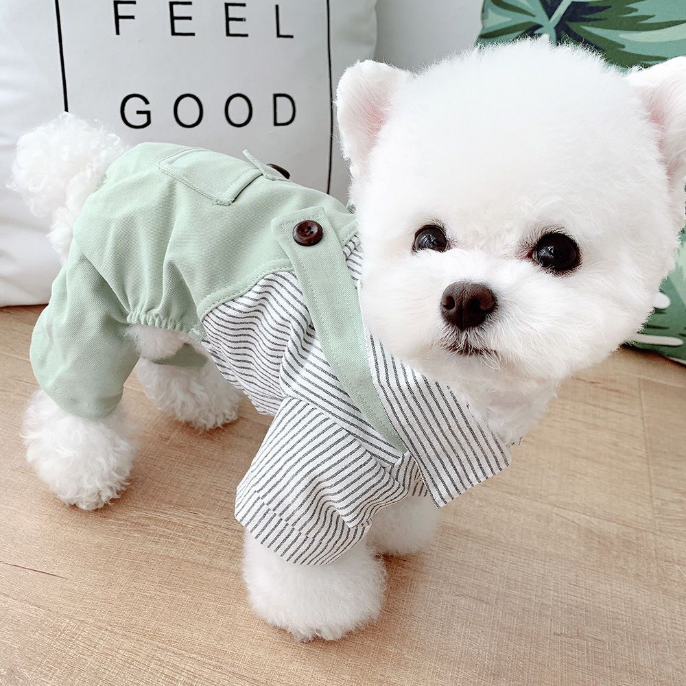 Little dog clothes autumn clothes Teddy fadou kejibomi small dog suspenders pet cat clothes autumn winter clothes