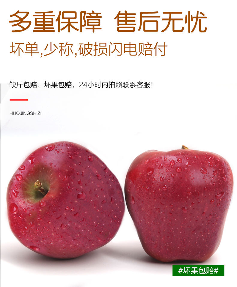 甘肃天水花牛苹果3/5/10斤水果新鲜当季整箱粉面刮泥现季应季蛇果
