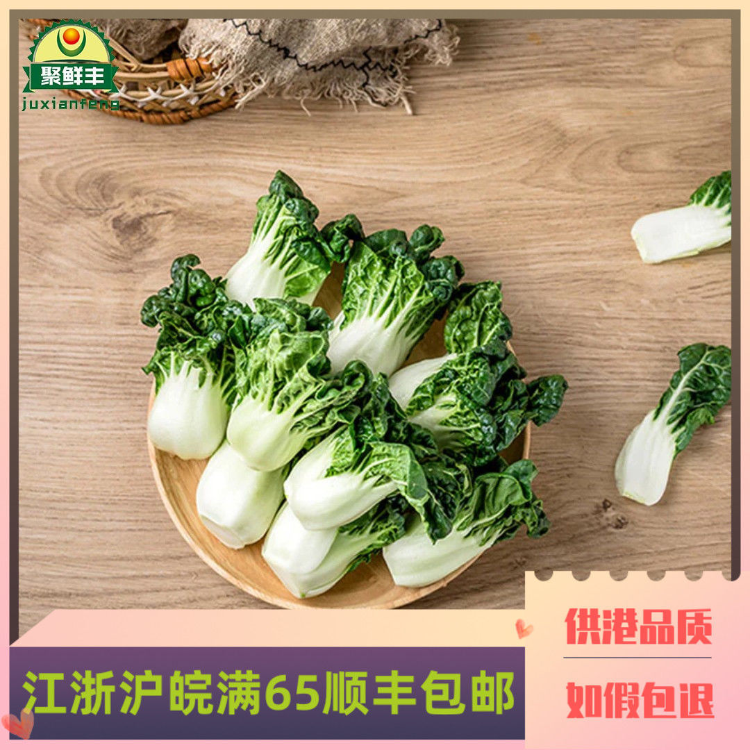 新鲜供港蔬菜宁夏迷你奶白菜 学斗 斗白菜 牛奶白菜 高原绿色蔬菜