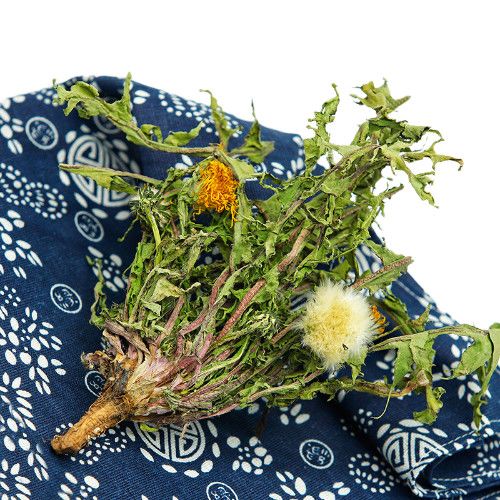 【野生】纯野生蒲公英天然整棵带根儿叶花干的特级全草蒲公英茶泡【3