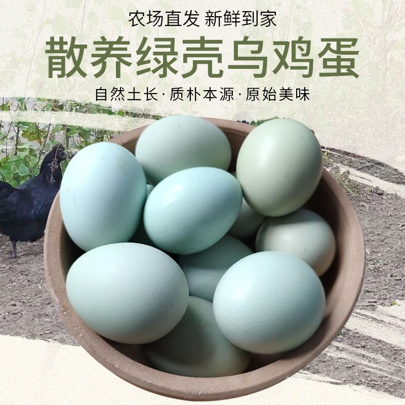 宜居乡皖北林下散养绿壳乌鸡蛋新鲜土鸡蛋宝宝初产蛋破赔多规格