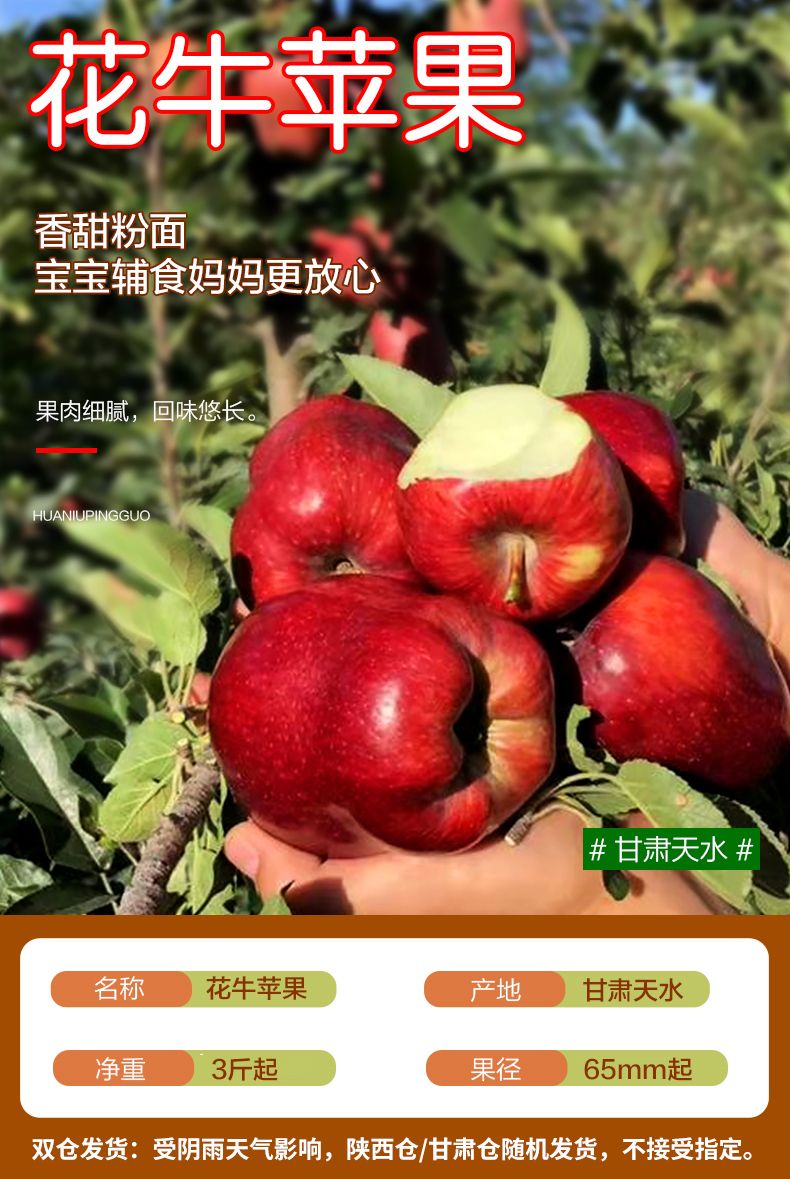 甘肃天水花牛苹果3/5/10斤水果新鲜当季整箱粉面刮泥现季应季蛇果