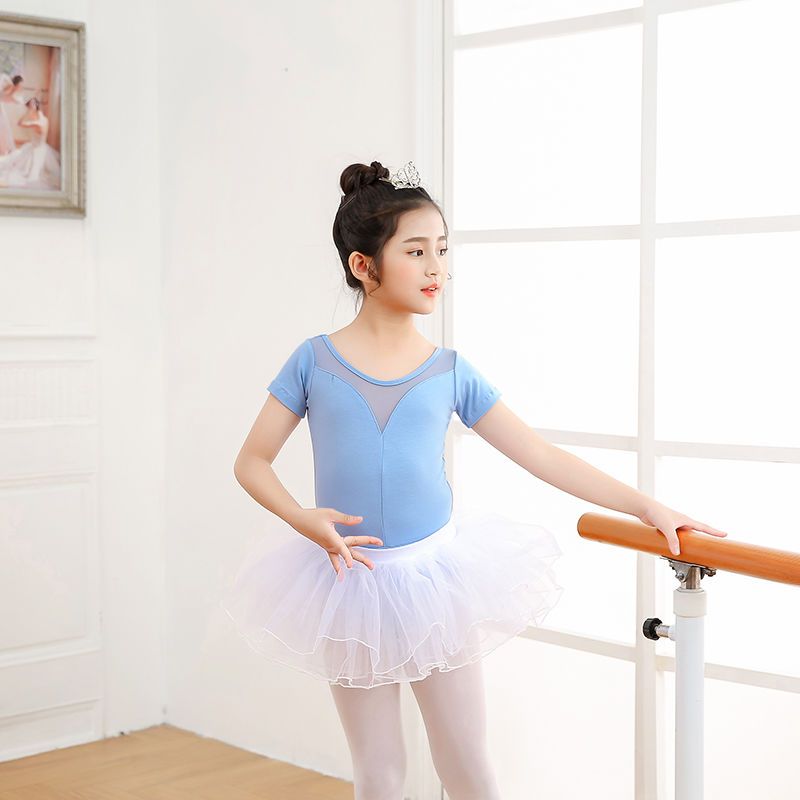 Dance clothing children's autumn and winter gray ballet skirt long-sleeved test grade dance performance split Chinese dance clothing