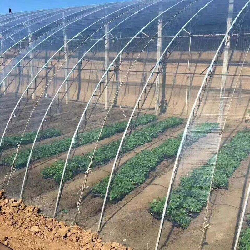 进口po膜大棚膜高透光消雾抗老化温室保温加厚透明薄膜蔬菜种植膜